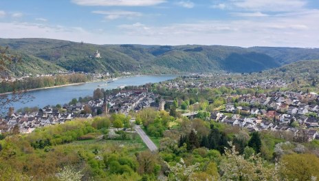 Aussicht Lützelforst | © TI Erlebnis Rheinbogen