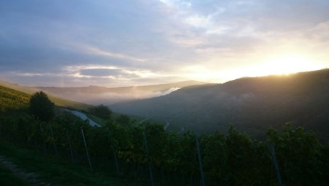 Sonnenaufgang über Oberheimbach | © Gerhard Jost, Gerhard Jost