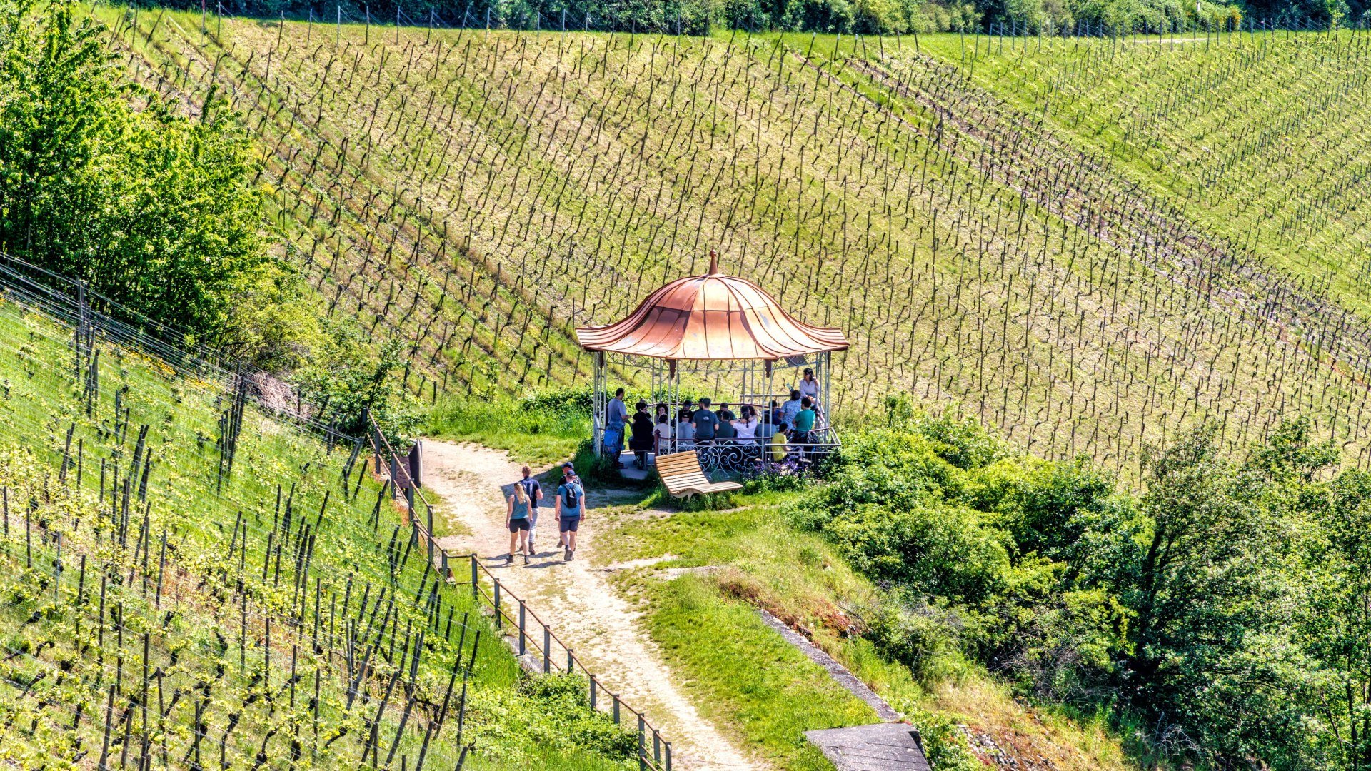 Rotweinlaube in Assmannshausen | © Marlis Steinmetz