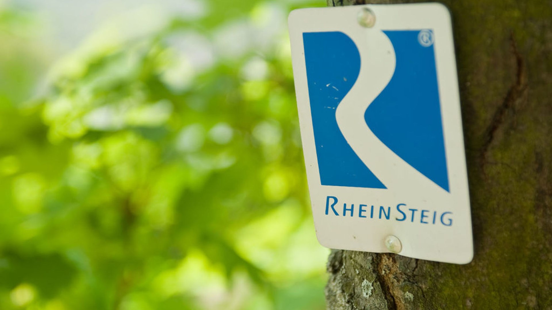 Rheinsteig marking on a tree | © Dominik Ketz / Rheinland-Pfalz Tourismus GmbH