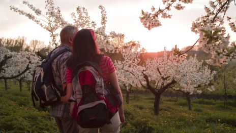 Traumpfad Streuobstwiesenweg | © Klaus-Peter Kappest, Traumpfade im Rhein-Mosel-Eifel-Land