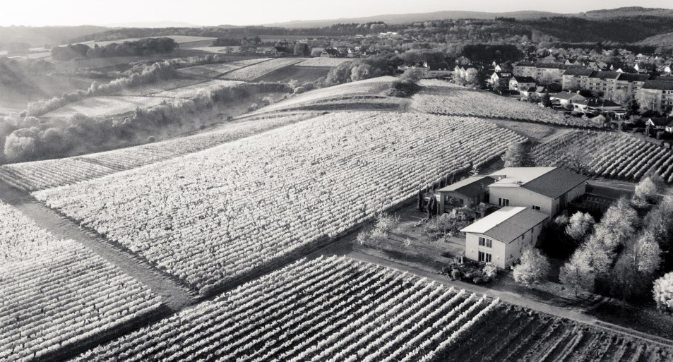 Luftbild Weingut Freimuth | © Weingut Freimuth