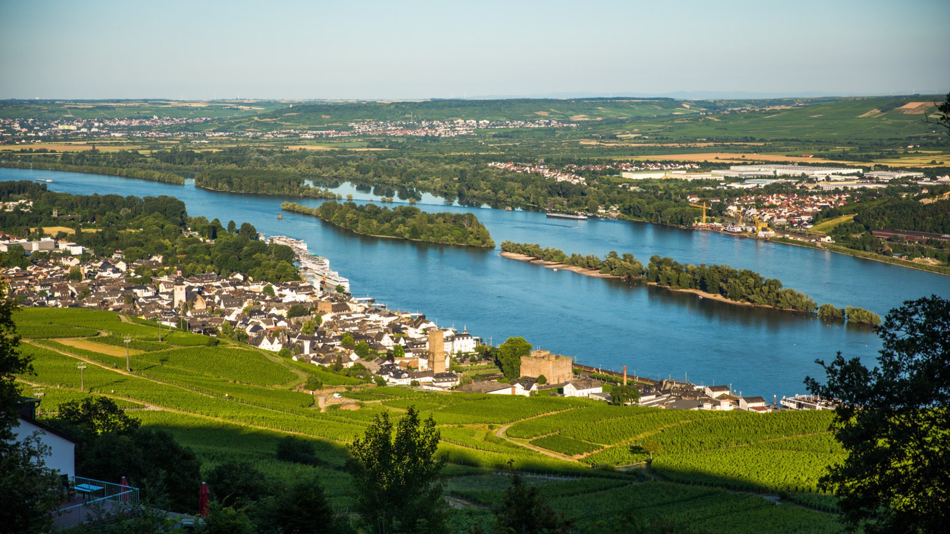 Blick auf Rüdesheim | © Henry Tornow