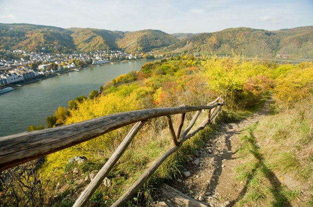 Der herbstliche Rheinsteig über Filsen | © Dominik Ketz