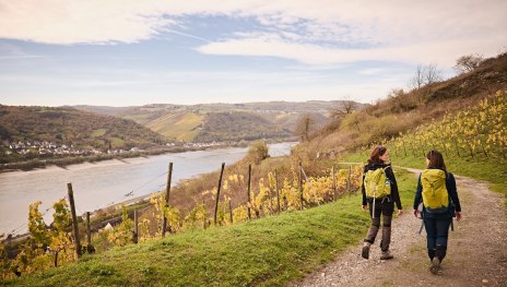 Durch die Weinberge | © Marco Rothbrust, Romantischer Rhein Tourismus GmbH