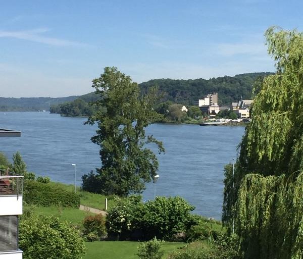 Rheinblick | © Ferienwohnung Sonnenschein am Rheinufer