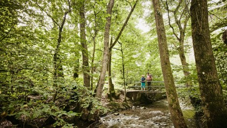 © Marco Rothbrust, Romantischer Rhein Tourismus GmbH