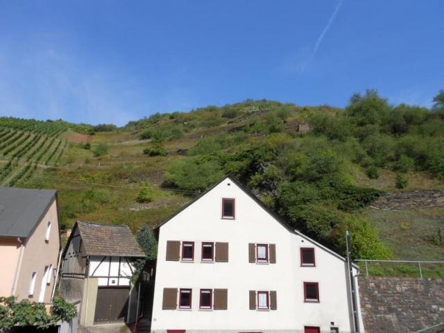 Blick auf die Weinberge vor dem Haus | © Carola Lanius