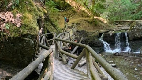 Traumschleife Ehrbachklamm + Schöneckschleife | © Tourist Information Boppard, Romantischer Rhein Tourismus GmbH