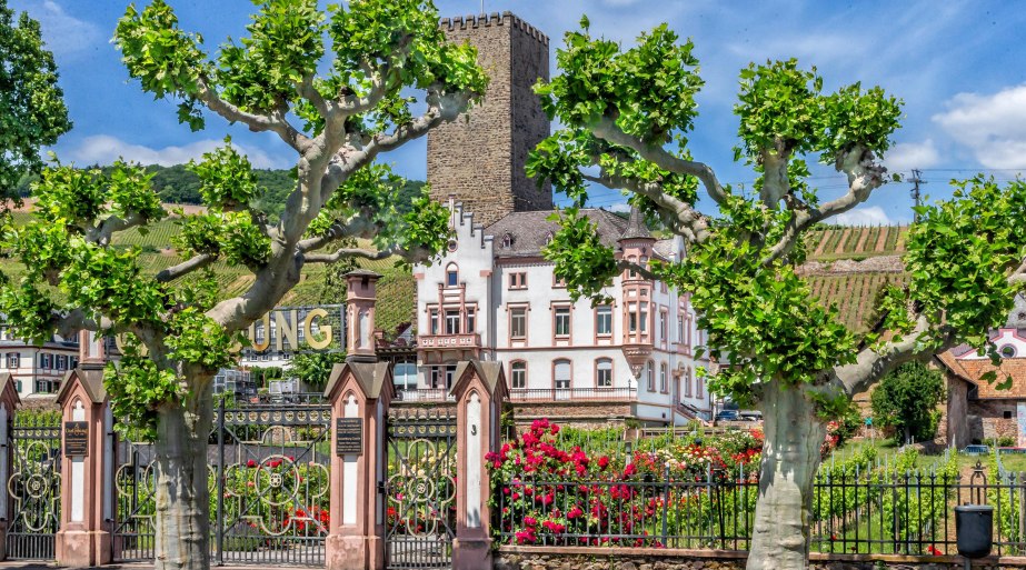 Boosenburg in Rüdesheim | © Rüdesheim Tourist AG Marlis Steinmetz