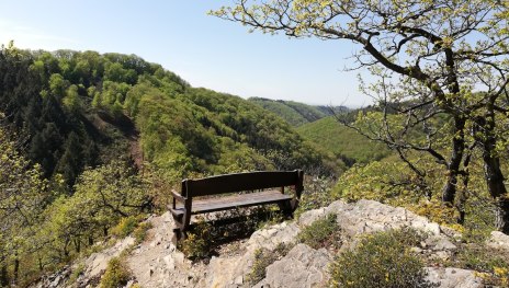 Traumschleife Hasenkammer | © Tourist Information Boppard, Romantischer Rhein Tourismus GmbH