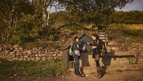 Weindepot Laadhütt | © Marco Rothbrust-Romantischer Rhein Tourismus GmbH