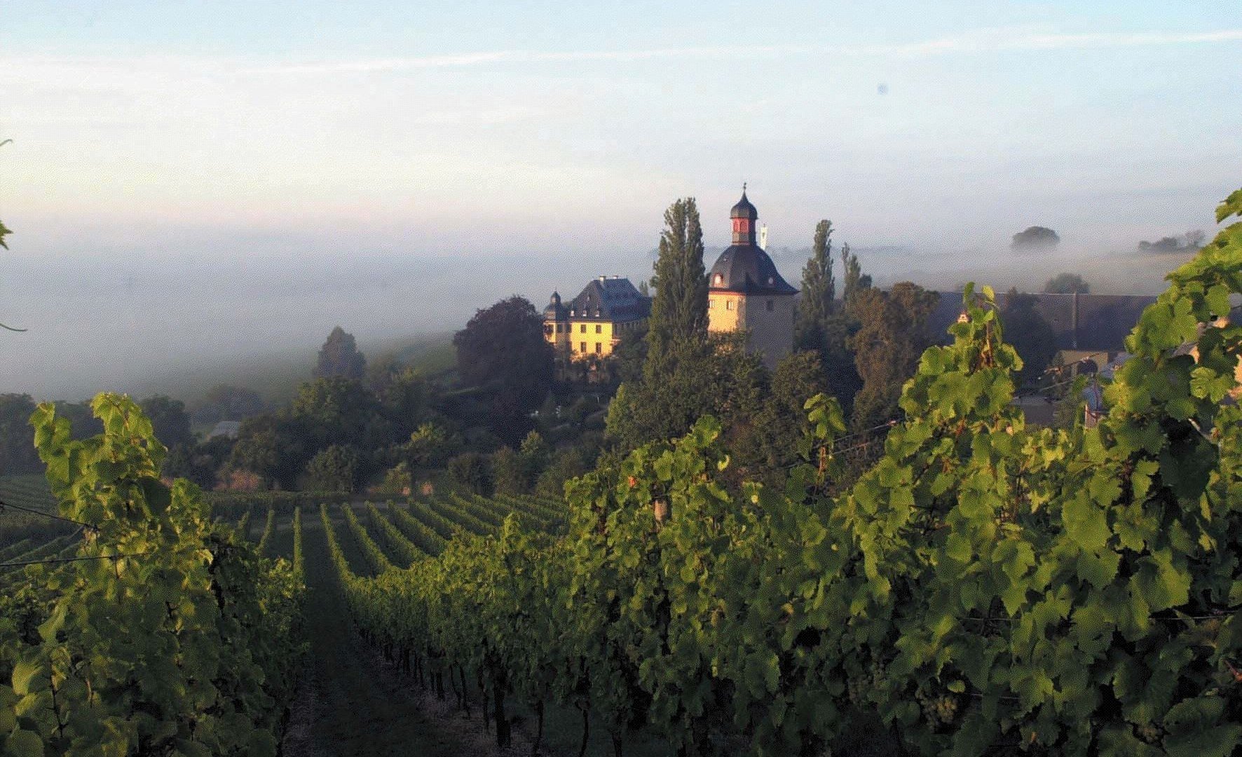 Schloss Vollrads | © Romantischer Rhein Tourismus GmbH