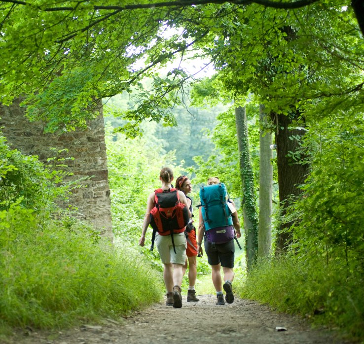 Wanderinnen im Grünen | © Dominik Ketz / Rheinland-Pfalz Tourismus GmbH