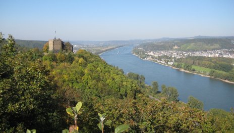 Aussichtspunkt | © Tourist-Information Bad Breisig, Romantischer Rhein Tourismus GmbH