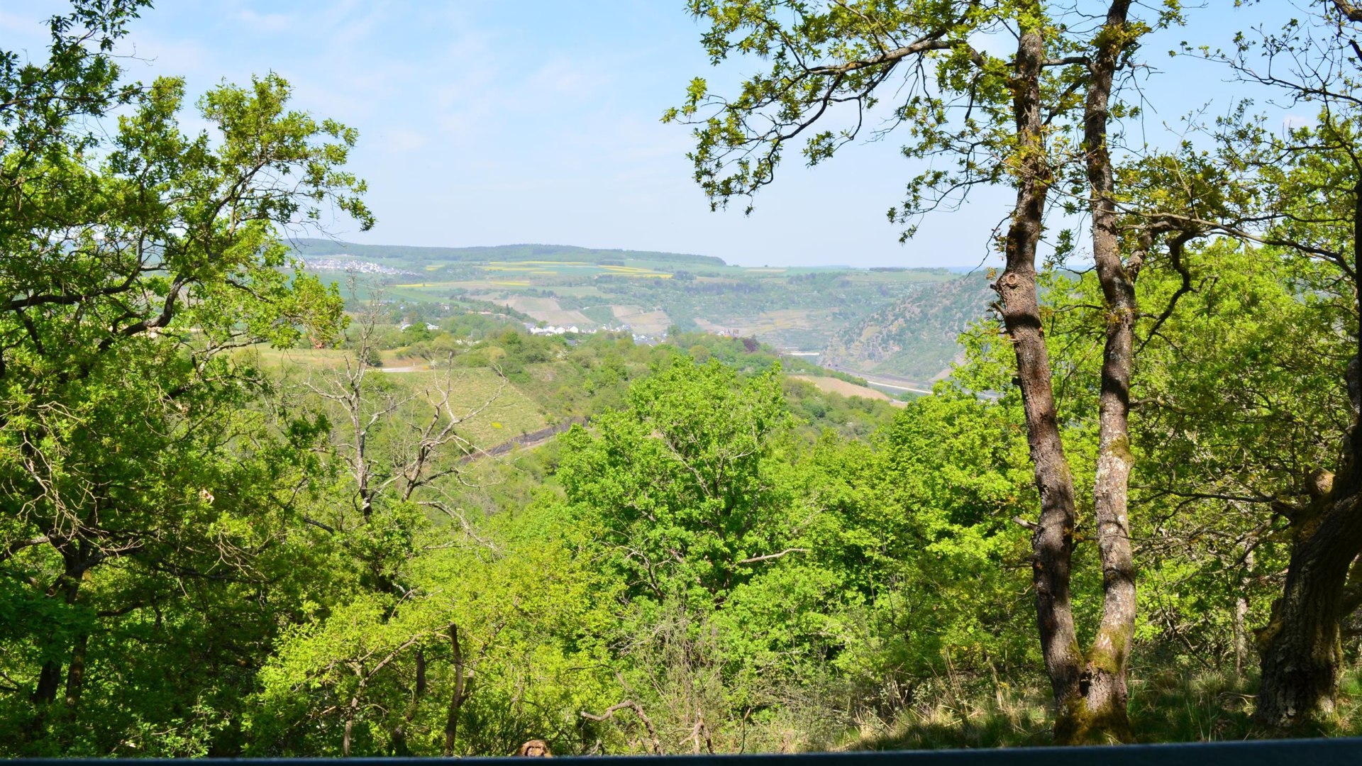 Hinnerbeil | © Tourist-Information Oberwesel