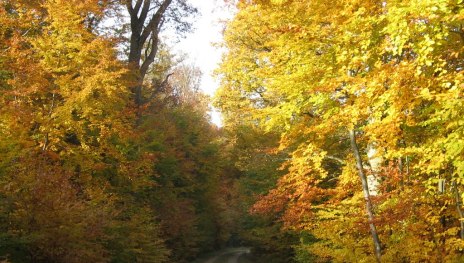 Kupperswiese Niederburg 1 | © Sandra Schnober, Stadt St. Goar