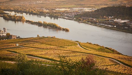 © Marco Rothbrust, Romantischer Rhein Tourismus GmbH