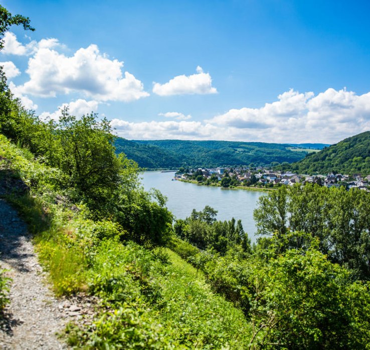 Zecherweg bei Braubach | © Henry Tornow