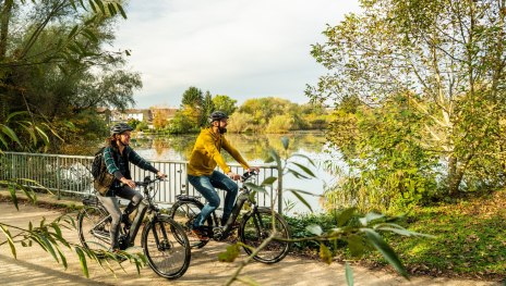 Rheinradweg bei Neuburg | © Dominik Ketz, Pfalz.Touristik e.V.