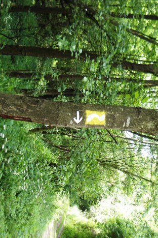 Access route marking | © Romantischer Rhein Tourismus GmbH