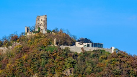 Drachenfels | © Friedrich Gier, Romantischer Rhein Tourismus GmbH