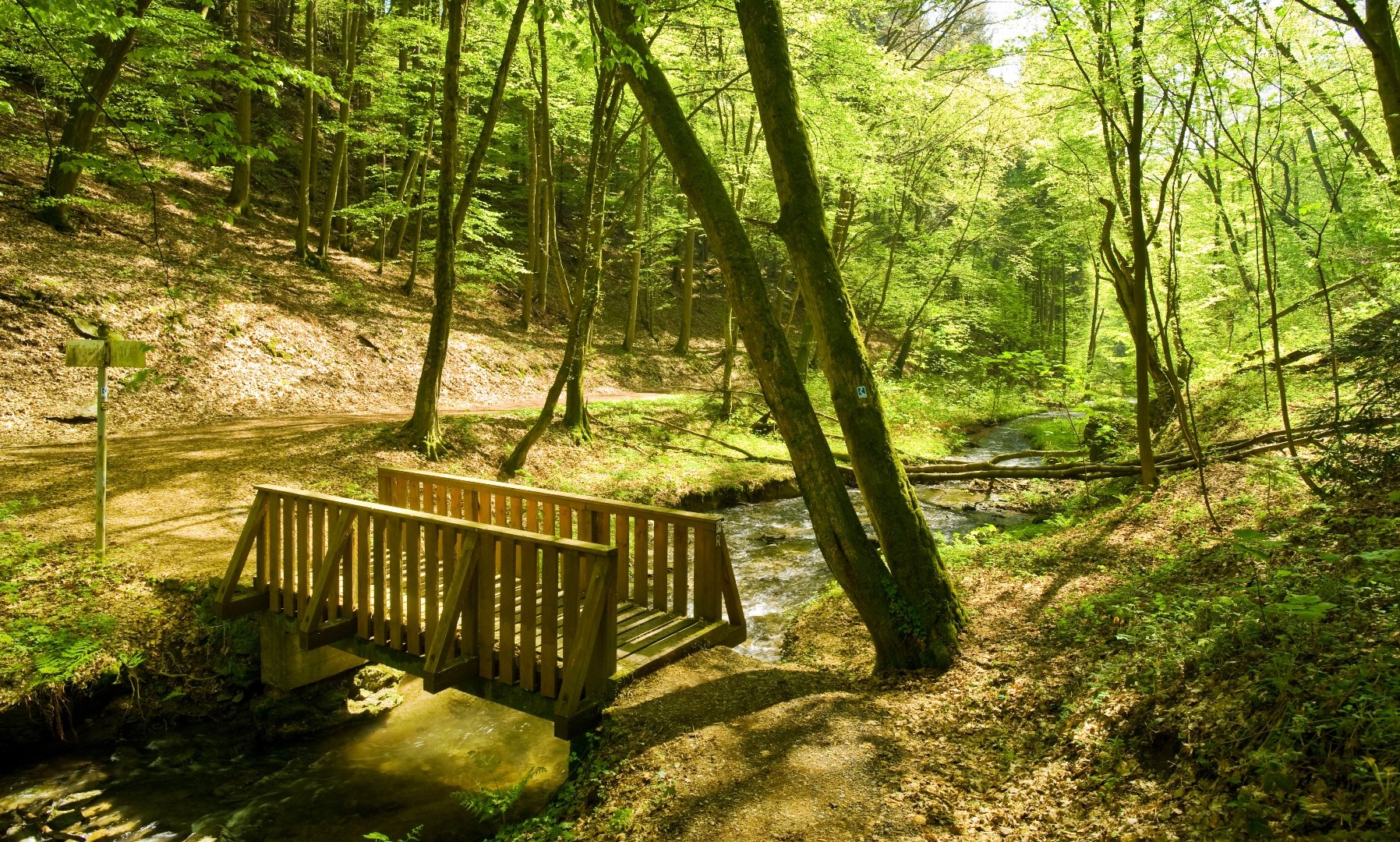 Völkerwiesenbachdal bij Rengsdorf | © Dominik Ketz / Rheinland-Pfalz Tourismus GmbH