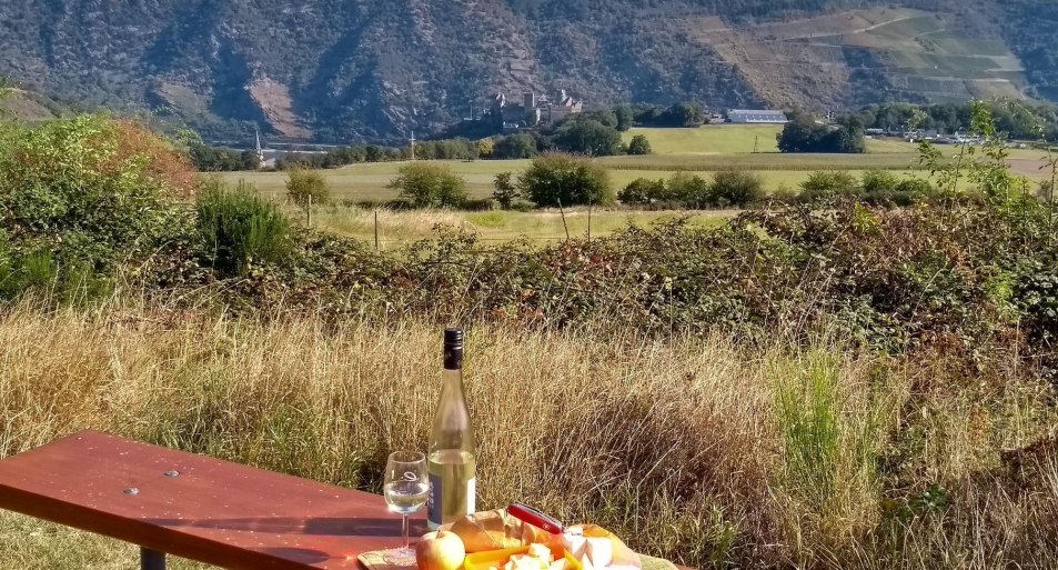 Picknickbank auf der Bitz mit Taunusblick | © E. Bender