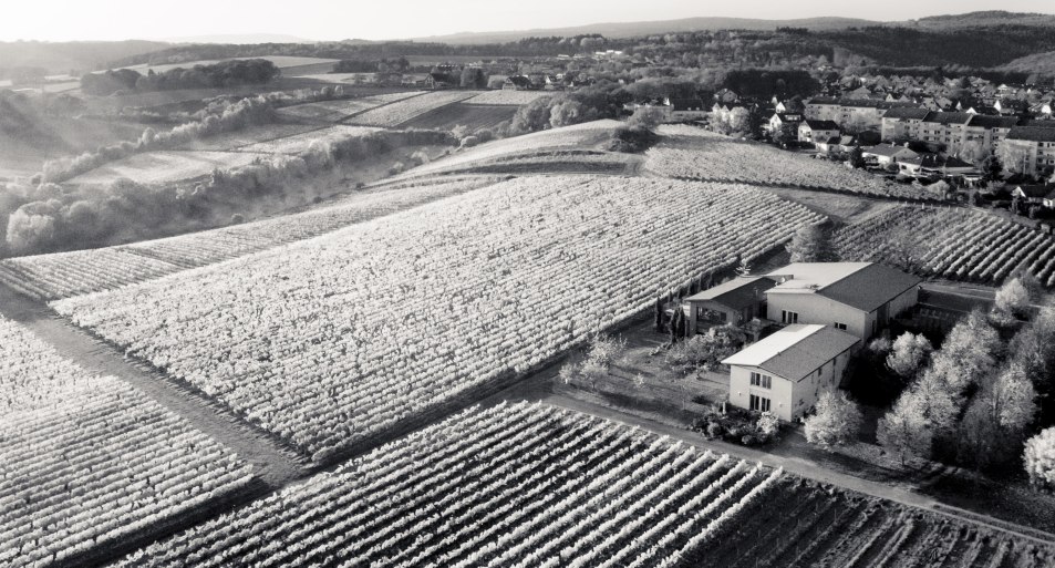 Weingut Freimuth* | © Weingut Freimuth