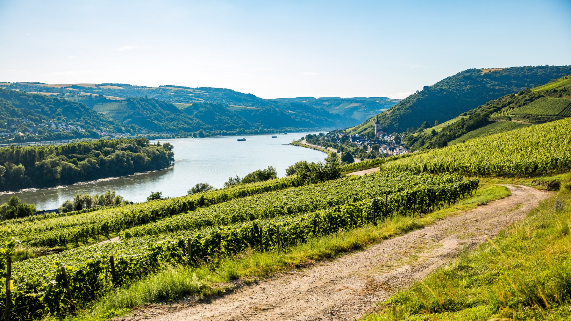 Blick auf Lorch | © Henry Tornow