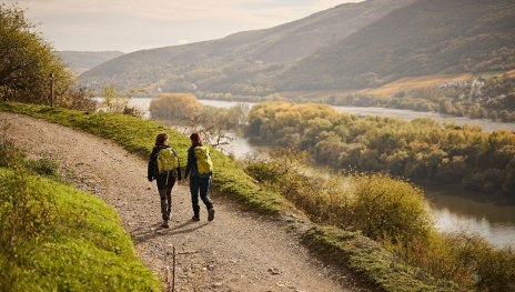 Wandern mit Blick auf den Rhein | © Marco Rothbrust, Romantischer Rhein Tourismus GmbH