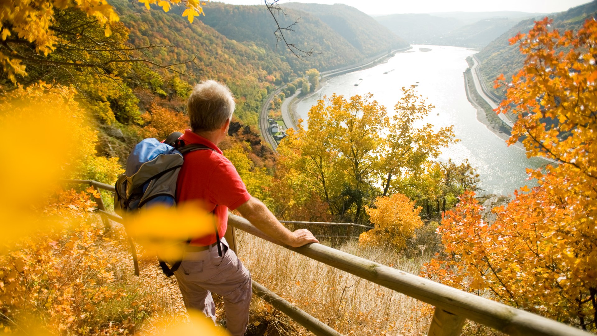 Leiselfeld im Herbst | © Dominik Ketz / Rheinland-Pfalz Tourismus GmbH