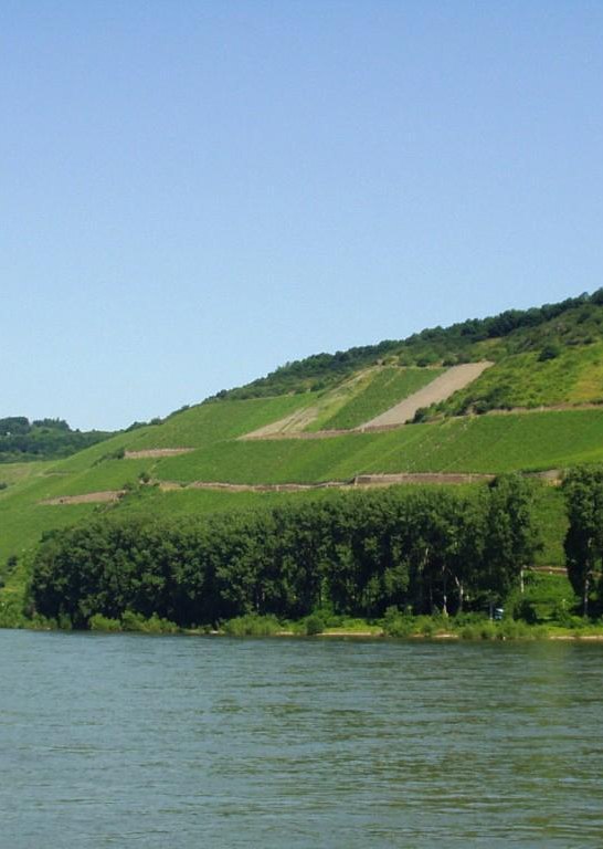 Bopparder Hamm | © Petra Winkler-Tourist Information Boppard