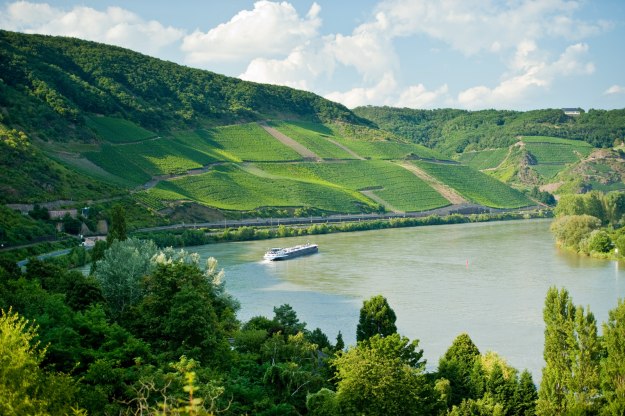 Splendid view into the viticulture location 'Bopparder Hamm' | © Dominik Ketz