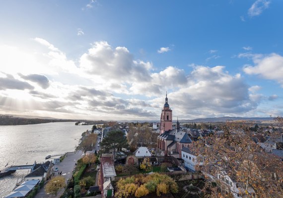 Kurfürstliche Burg Eltville1 | © Rheingau- Taunus Kultur und Tourismus GmbH/ Saskia