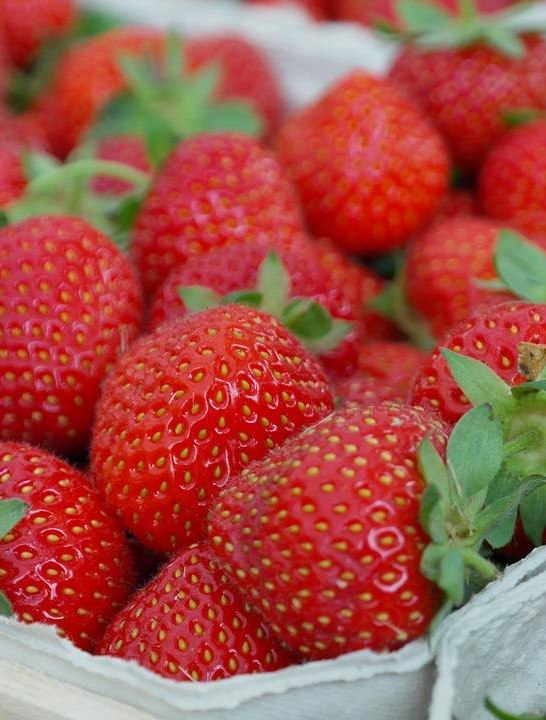 Erdbeeren | © Pixabay