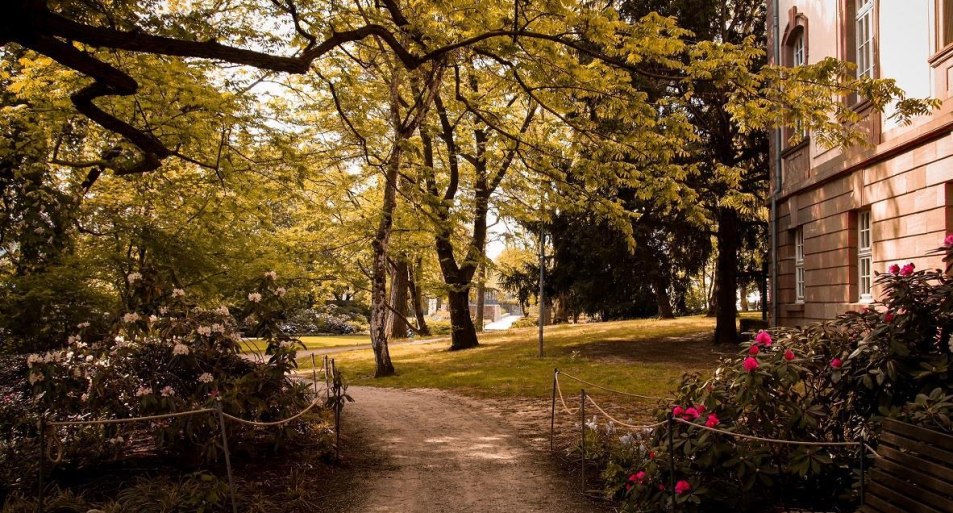 Schlosspark | © Johannes Bruchhof