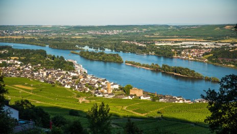 Blick auf Rüdesheim | © Henry Tornow, Romantischer Rhein Tourismus GmbH
