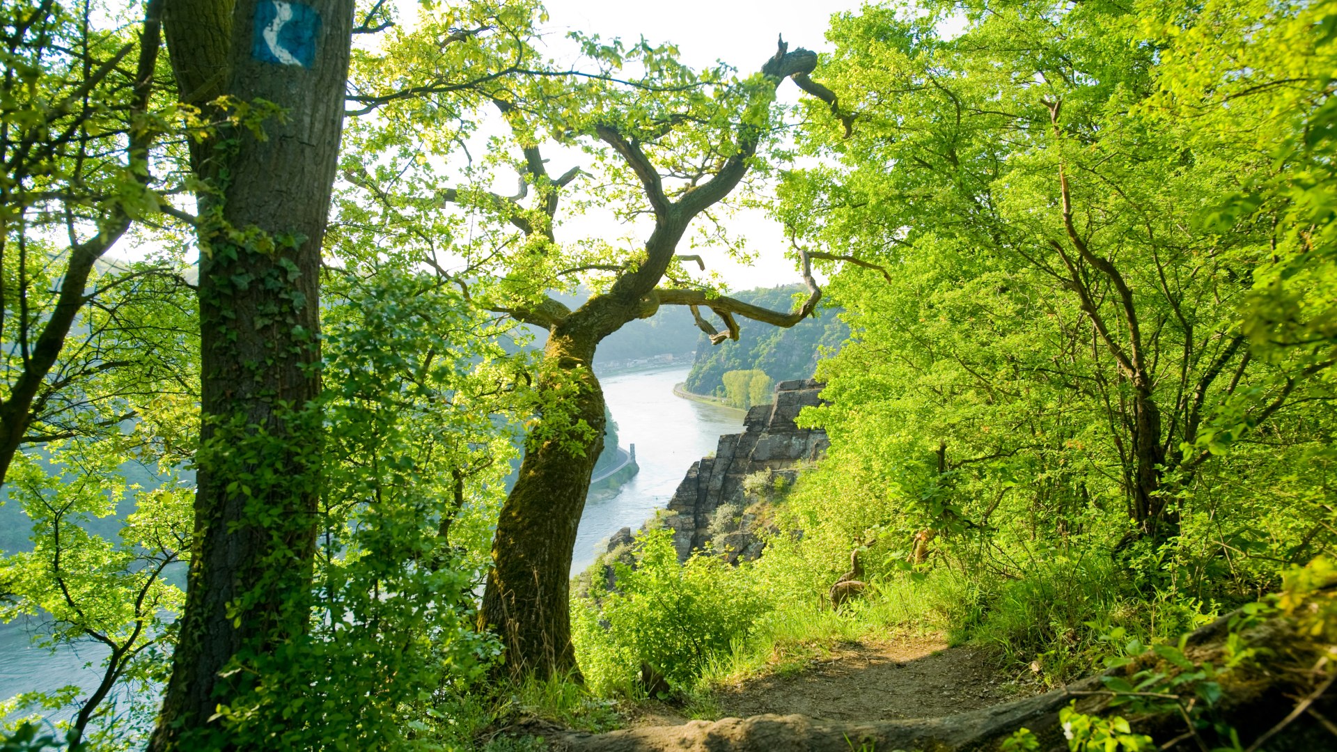 Leiselfeld | © Dominik Ketz / Rheinland-Pfalz Tourismus GmbH