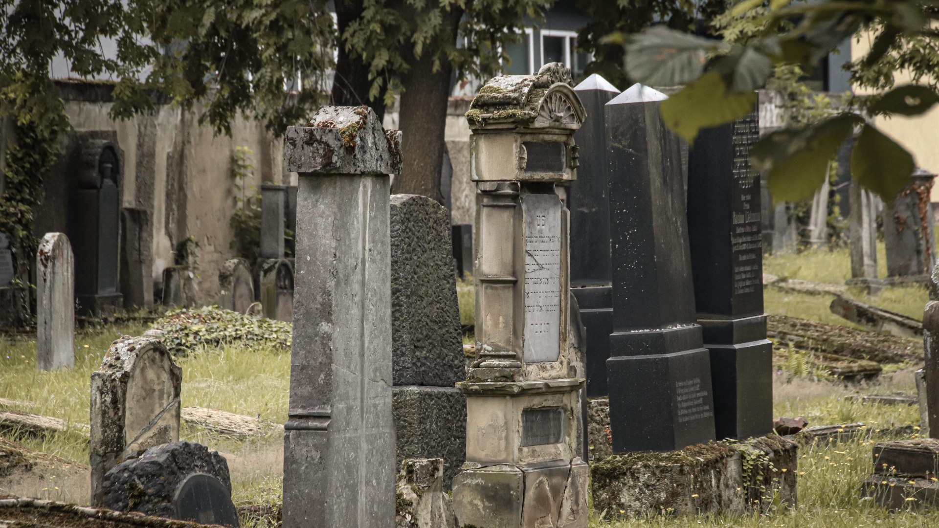 Jüdischer Friedhof | © Koblenz-Touristik GmbH / Johannes Bruchhof