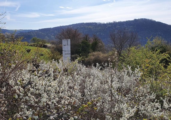 Schriftsäule im Frühling | © T. Biersch