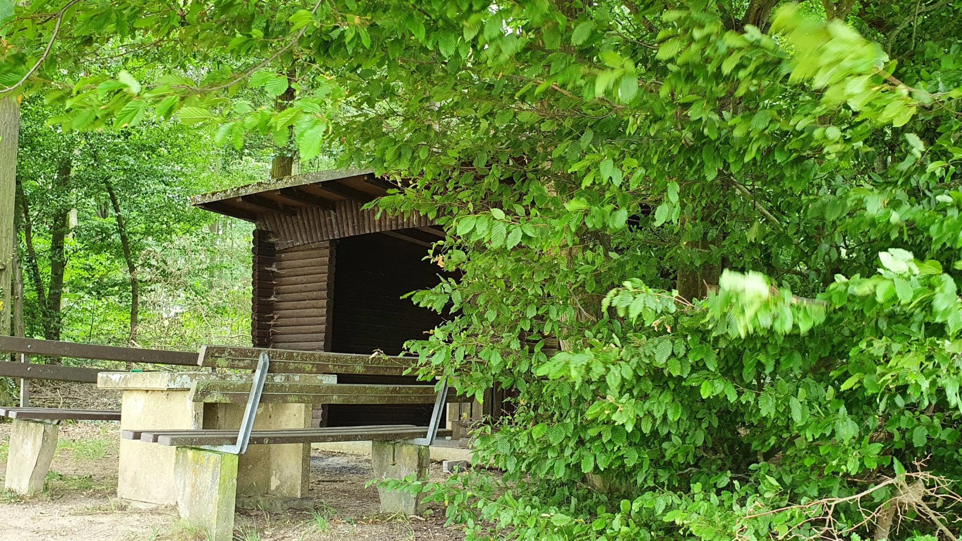 Thiergartenhütte | © T. Biersch