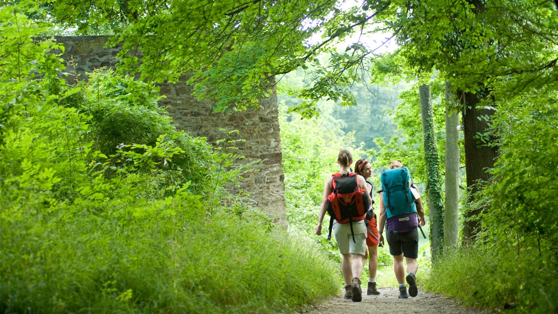 Wanderinnen im Grünen | © Dominik Ketz / Rheinland-Pfalz Tourismus GmbH