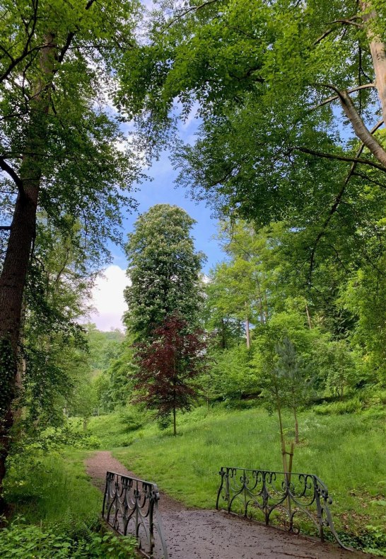 Marienberger Park 3 | © Tourist Information Boppard