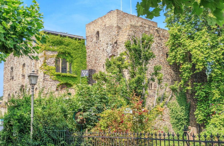 Brömser Burg im Frühjahr | © Marlis Steinmetz