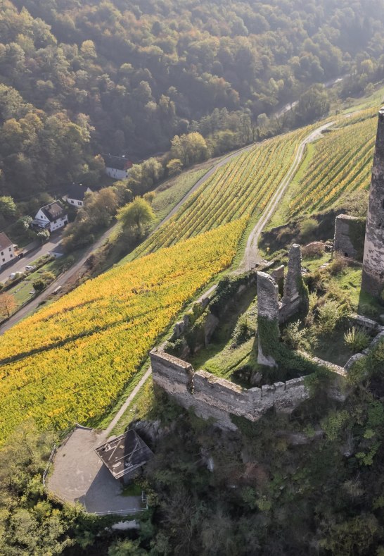 Fürstenberg inmitten der Weinberge | © Andreas Pacek, fototour-deutschland.de