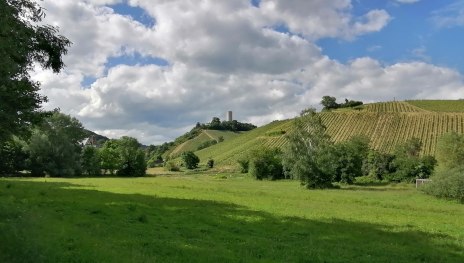 © Anja Wegschimmel, Romantischer Rhein Tourismus GmbH