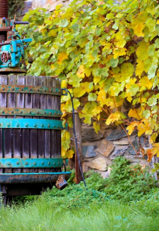 Kelter Weingut Altenkirch | © Frau Göttert