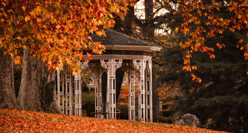 Herbst | © Koblenz-Touristik GmbH / Johannes Bruchhof