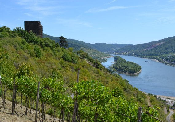 Nollig mit Aussicht | © Rheingau Taunus Kultur und Tourismus